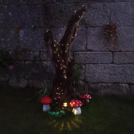 A Feitiña De Rubiacós Rubiacos