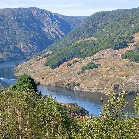 A Feitiña De Rubiacós Rubiacos
