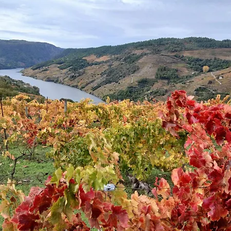 A Feitiña De Rubiacós *