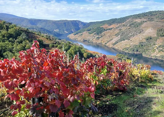Nyaraló A Feitina De Rubiacos